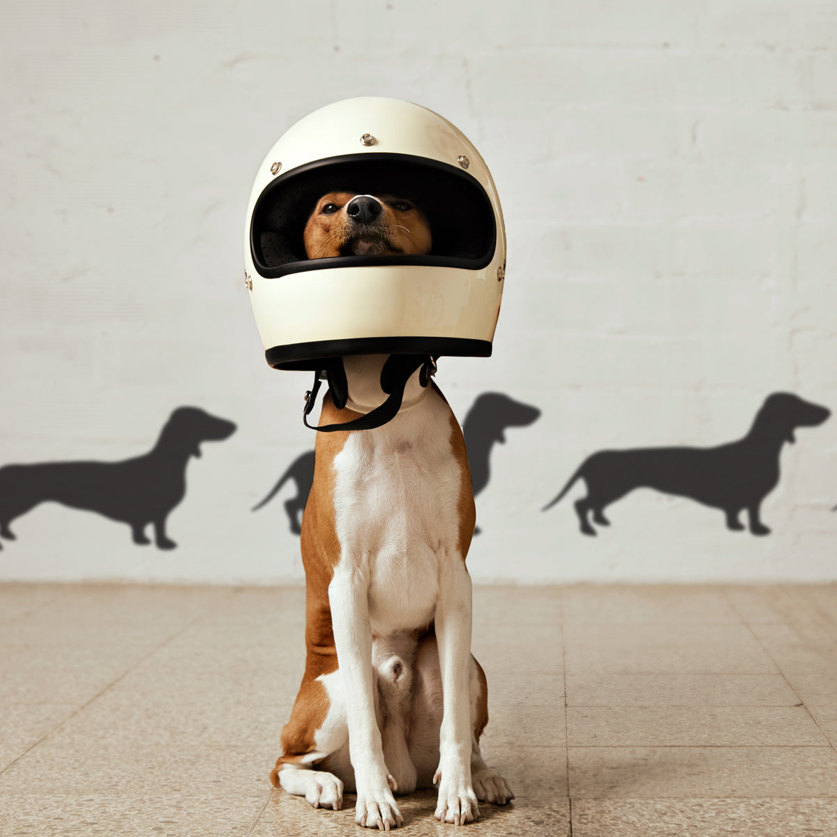 dachshund motorcycle helmet Large Dachshund Stencil