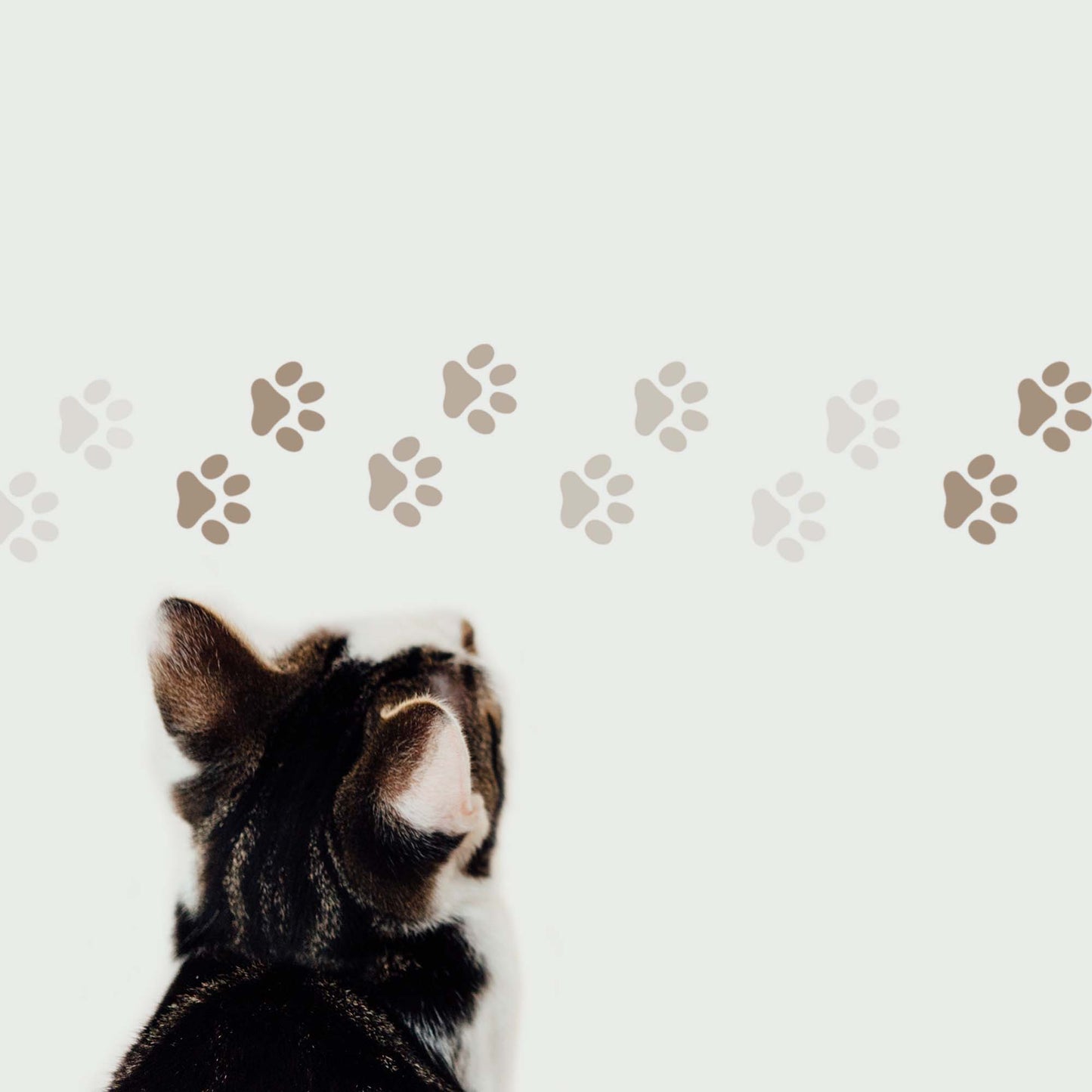 CraftStar Paw Print Border Stencil Painted on Wall in Browns