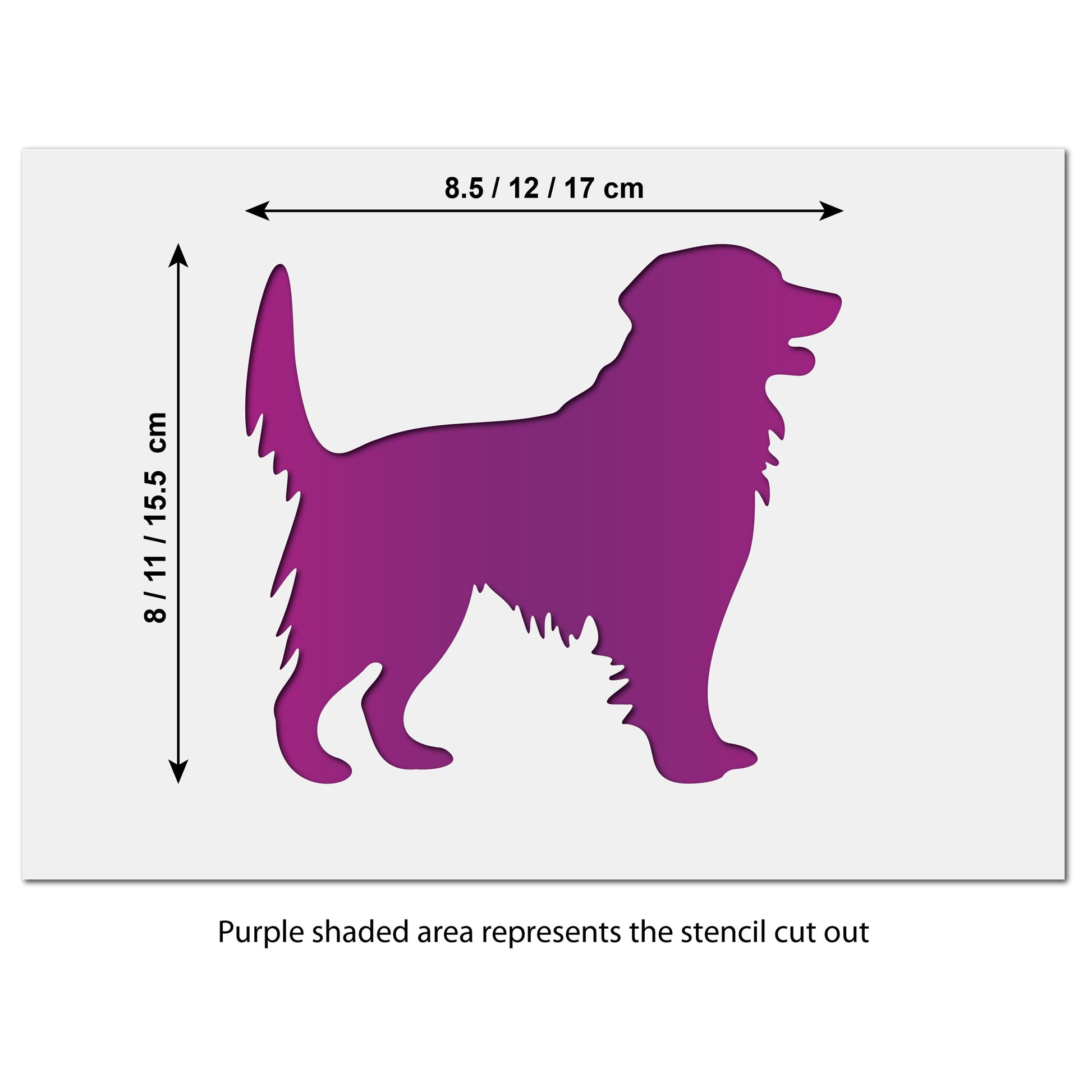 Golden Retriever stencil size information