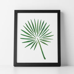 CraftStar Fan Palm Leaf Stencil as a framed picture