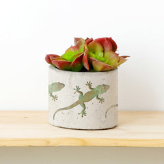 CraftStar Gecko Stencil on Plant Pot