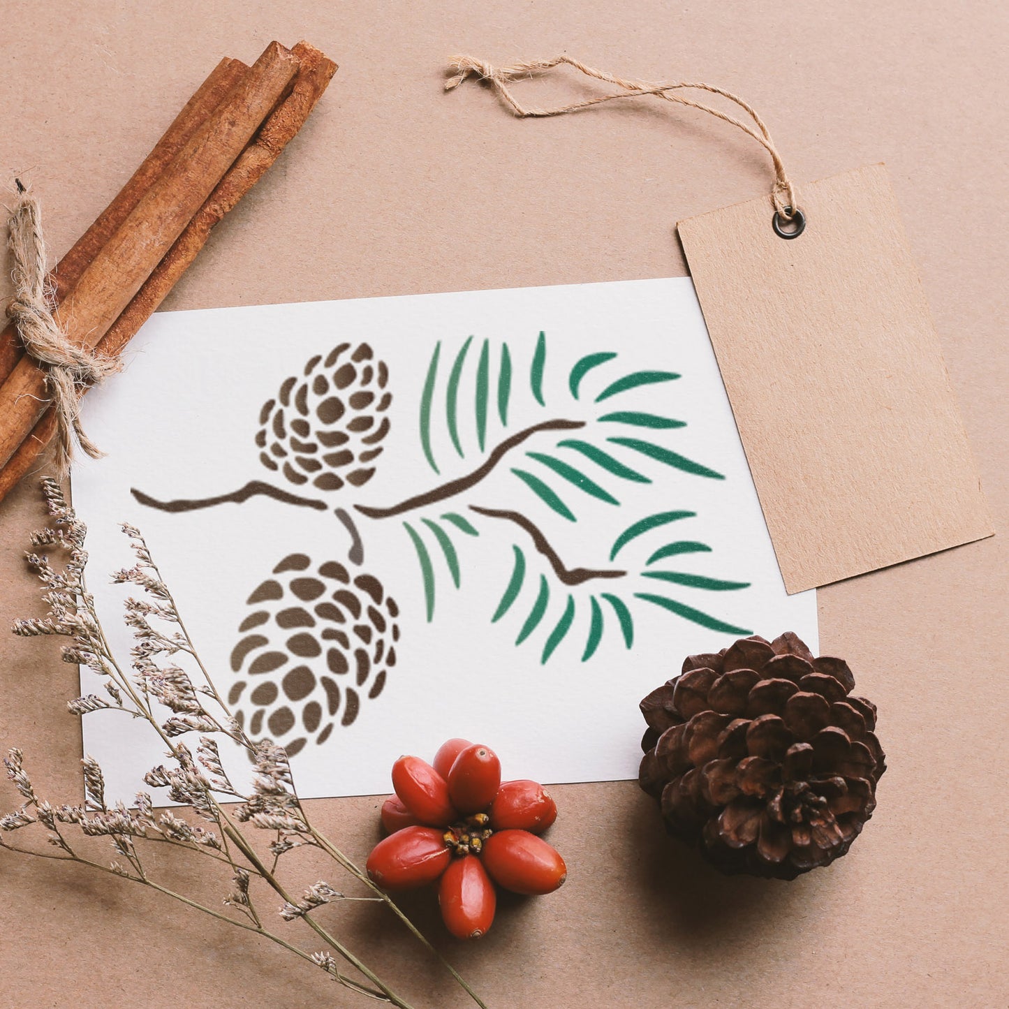 CraftStar Pine Cones Stencil on card