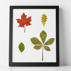 CraftStar Leaf Stencil Set - Autumnal Look